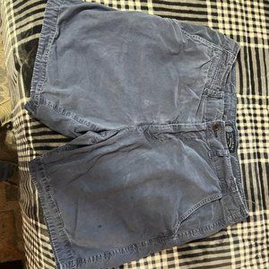 American Eagle Outfitters Navy Shorts (34 Waist)
